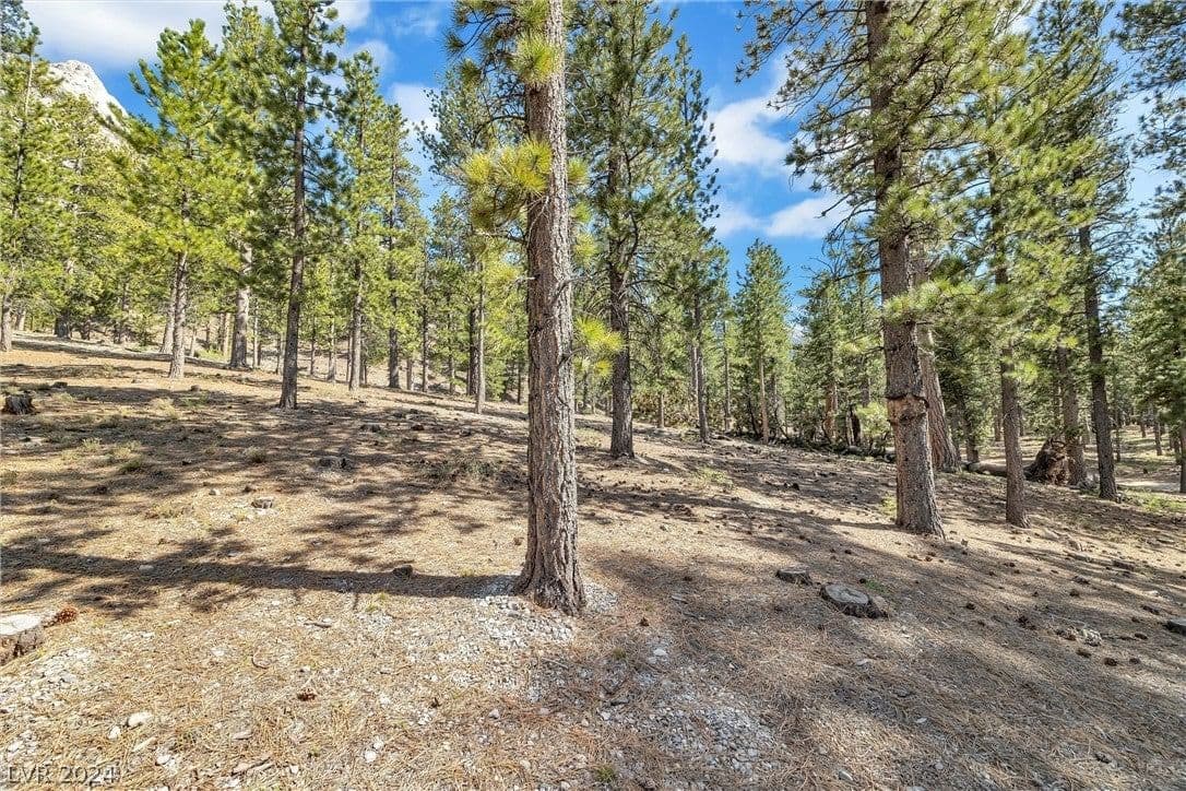 Lee Canyon Road photo 5