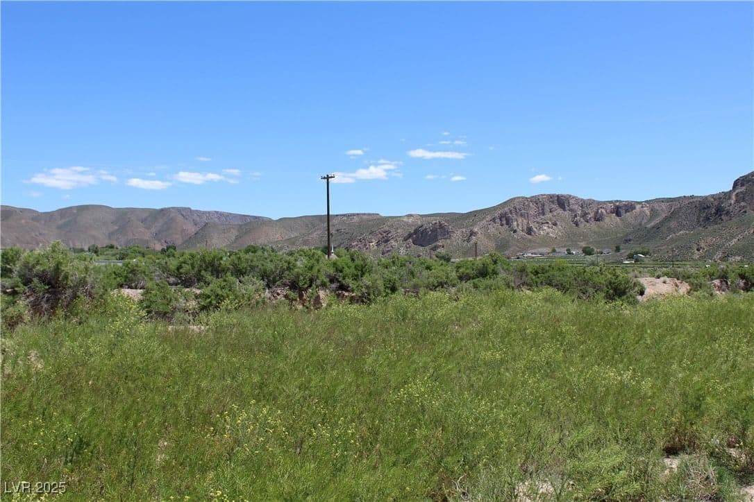 Mobile - RV Estates - 14.54 Acres photo 4