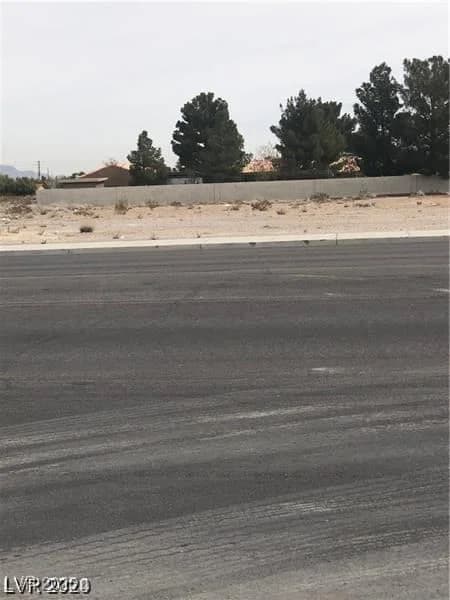TENAYA photo 3