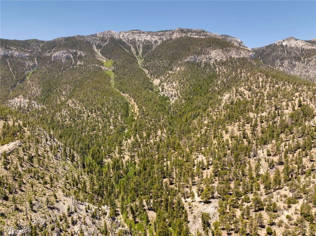 4085 Cougar Ridge Trail photo 2