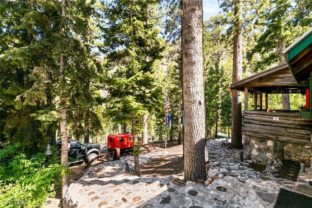 4075 Cougar Ridge Trail photo 4