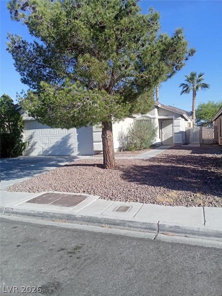 1032 Silver Creek Avenue photo 2