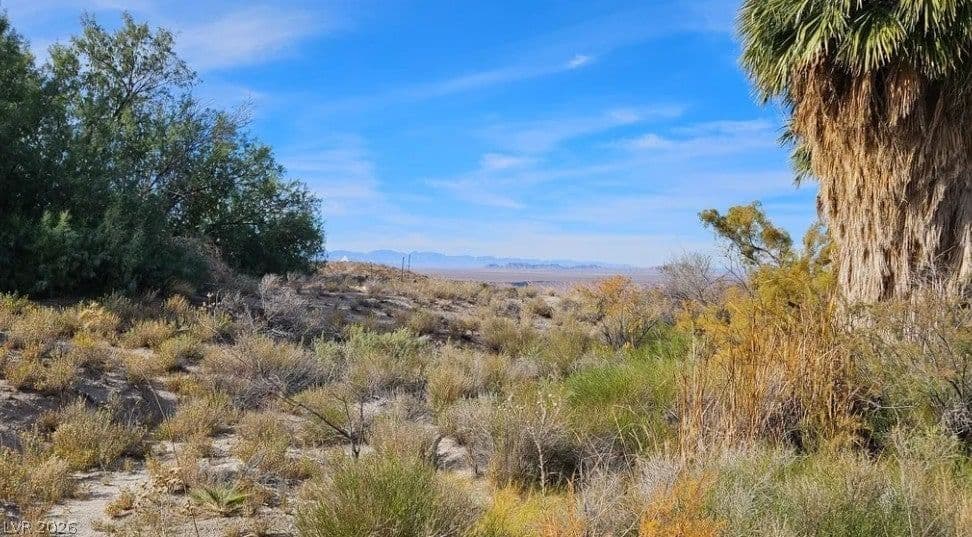 Gold Butte Road photo 4