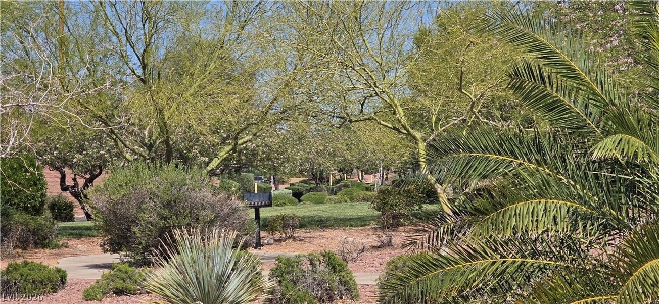 67 Desert Coyote Street photo 2