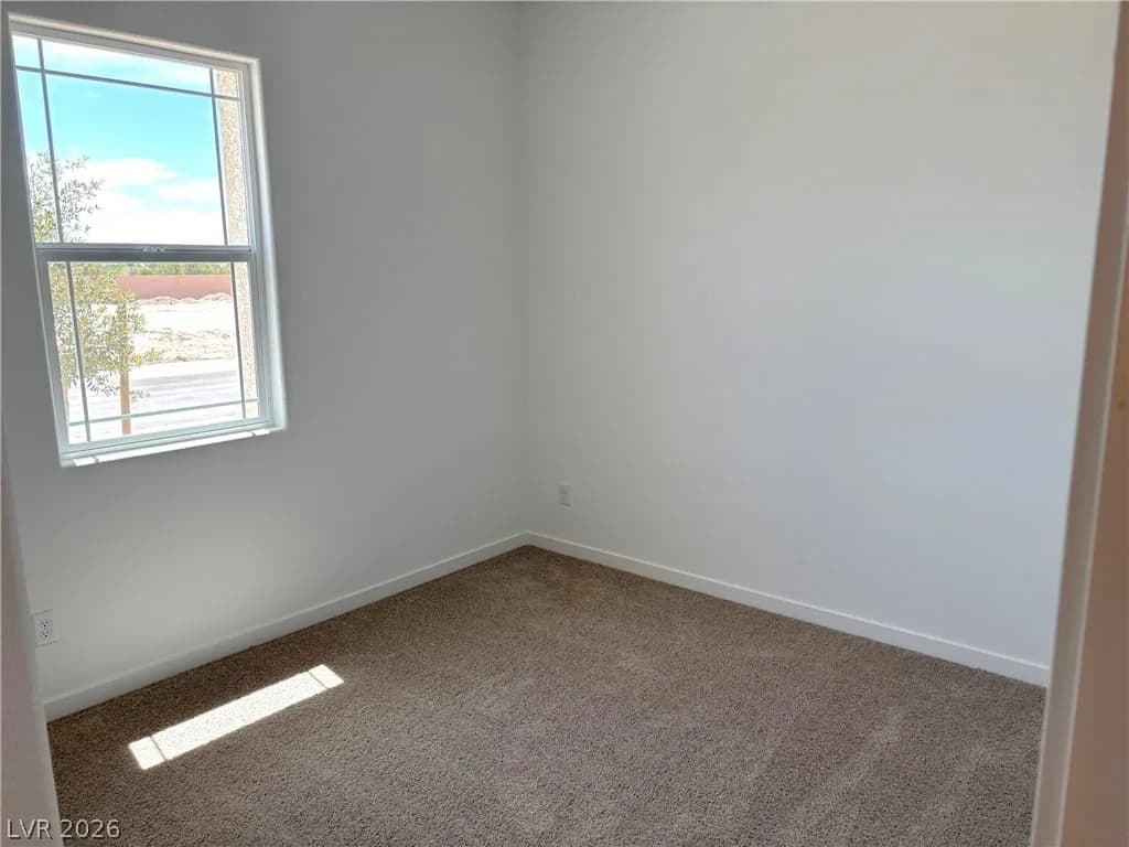 4357 Angel Falls Court photo 4