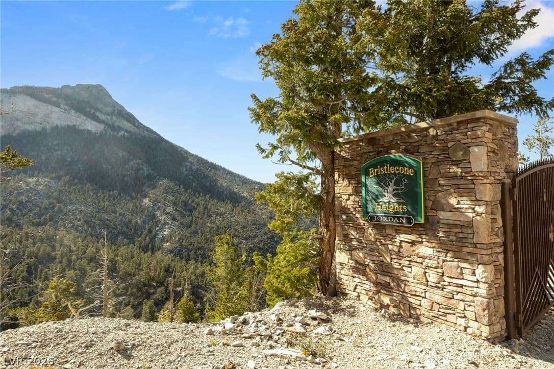 4910 Cougar Ridge Trail photo 4