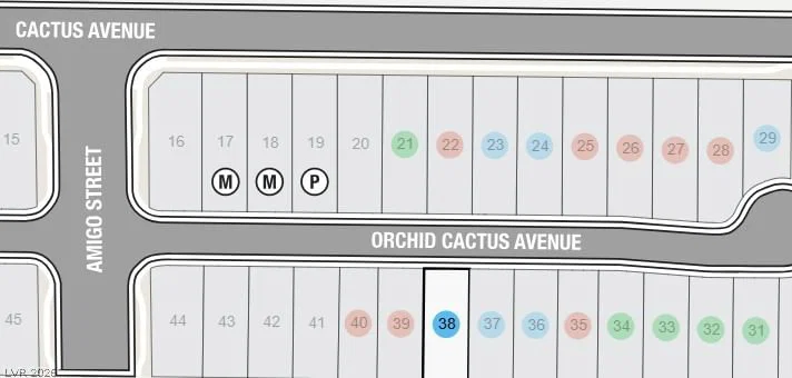 645 Orchid Cactus Avenue photo 5