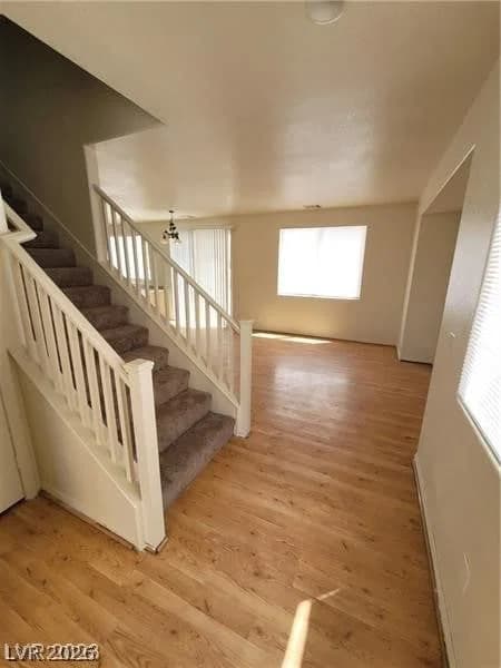 8149 Palace Monaco Avenue photo 5