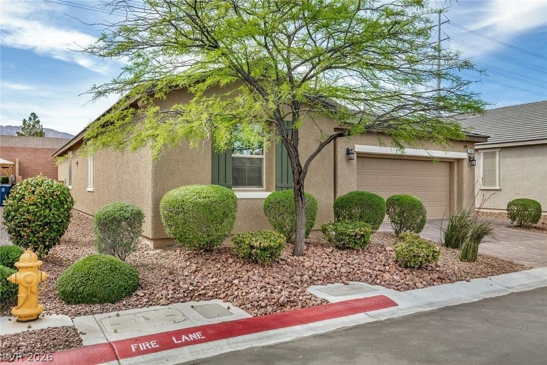 7141 Flora Lam Street photo 5
