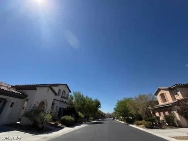 10003 Emerald Pools Street photo 3