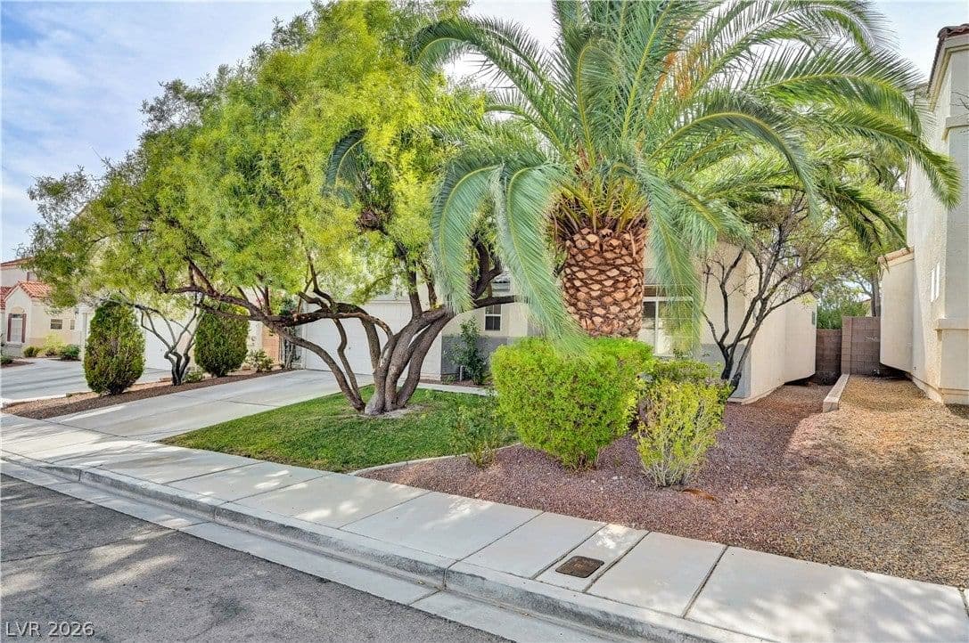 5925 Willis Street photo 3