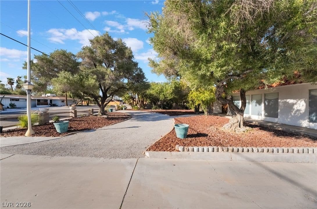 909 Cashman Drive photo 5