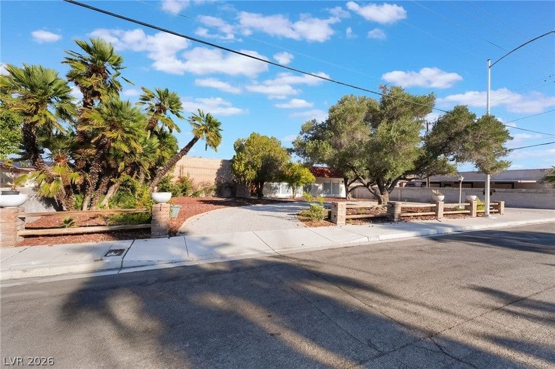 909 Cashman Drive photo 4