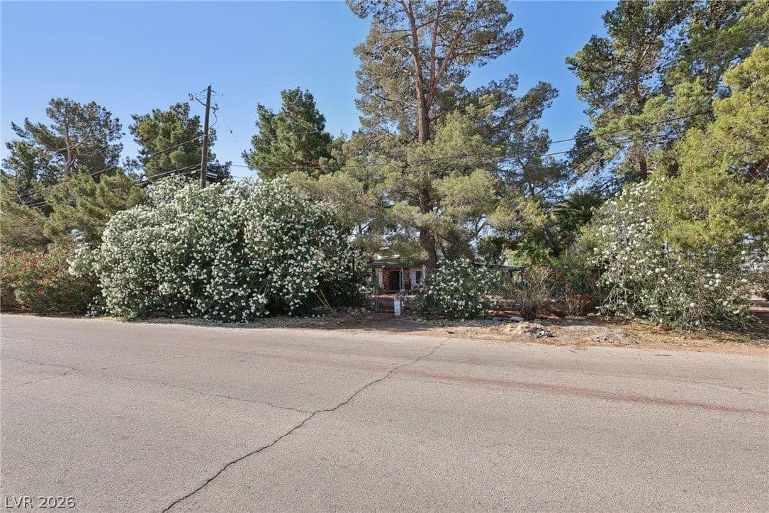 55 Siddall Avenue photo 3