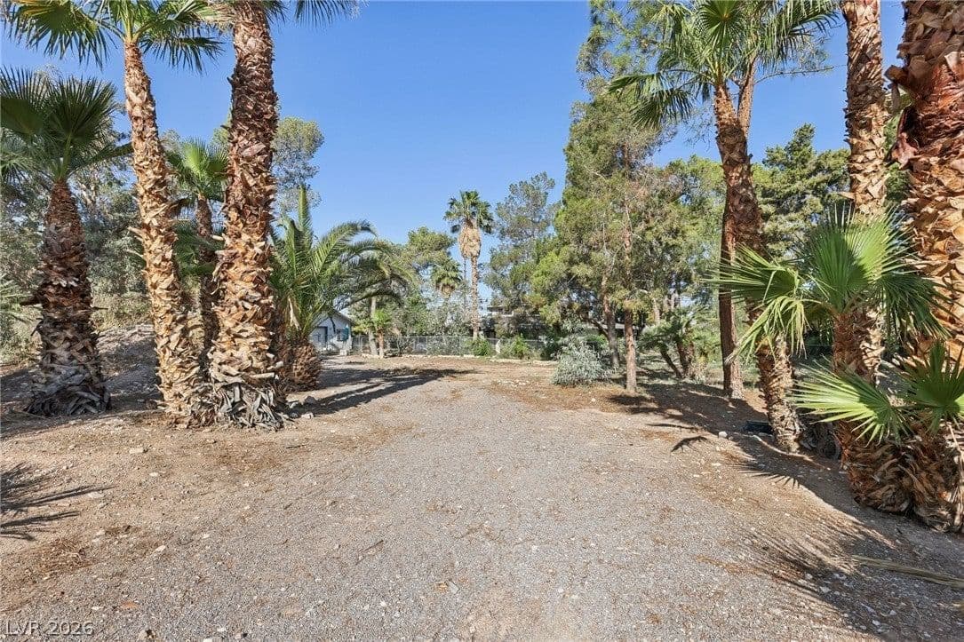 55 Siddall Avenue photo 4