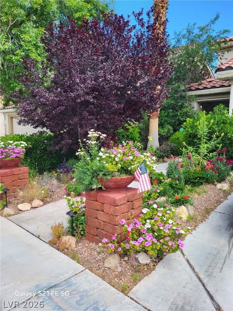 1428 Calle Montery Street photo 2