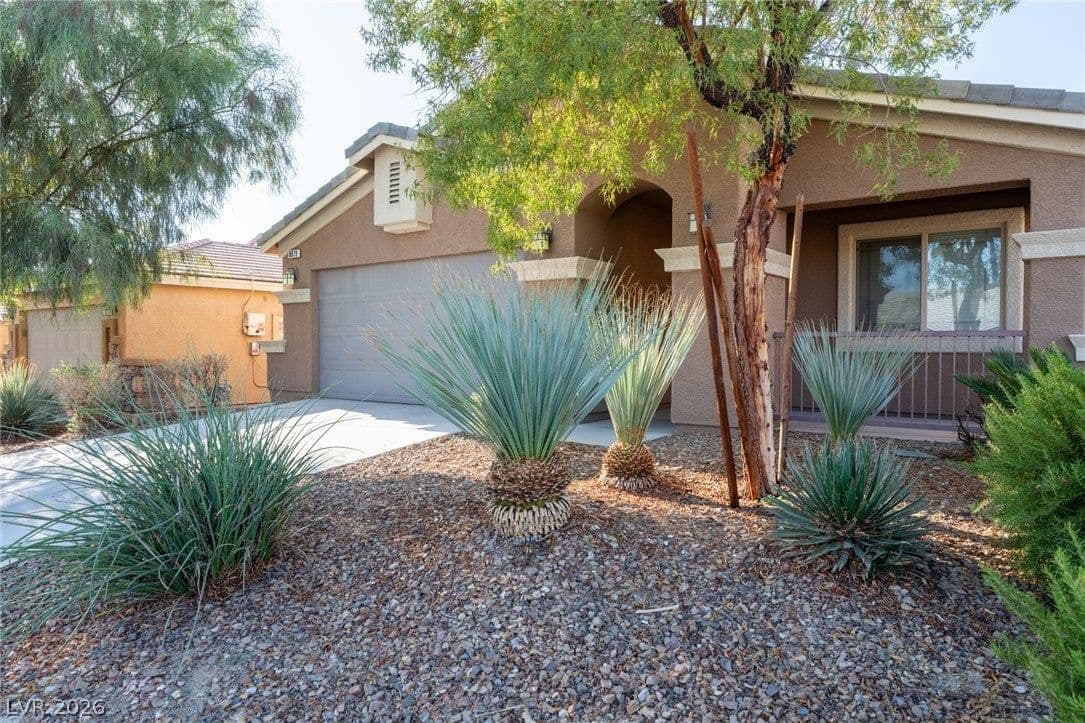 8079 Buffalo Ranch Avenue photo 4